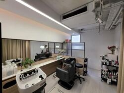 The Flow (D15), Shop House #613733261
